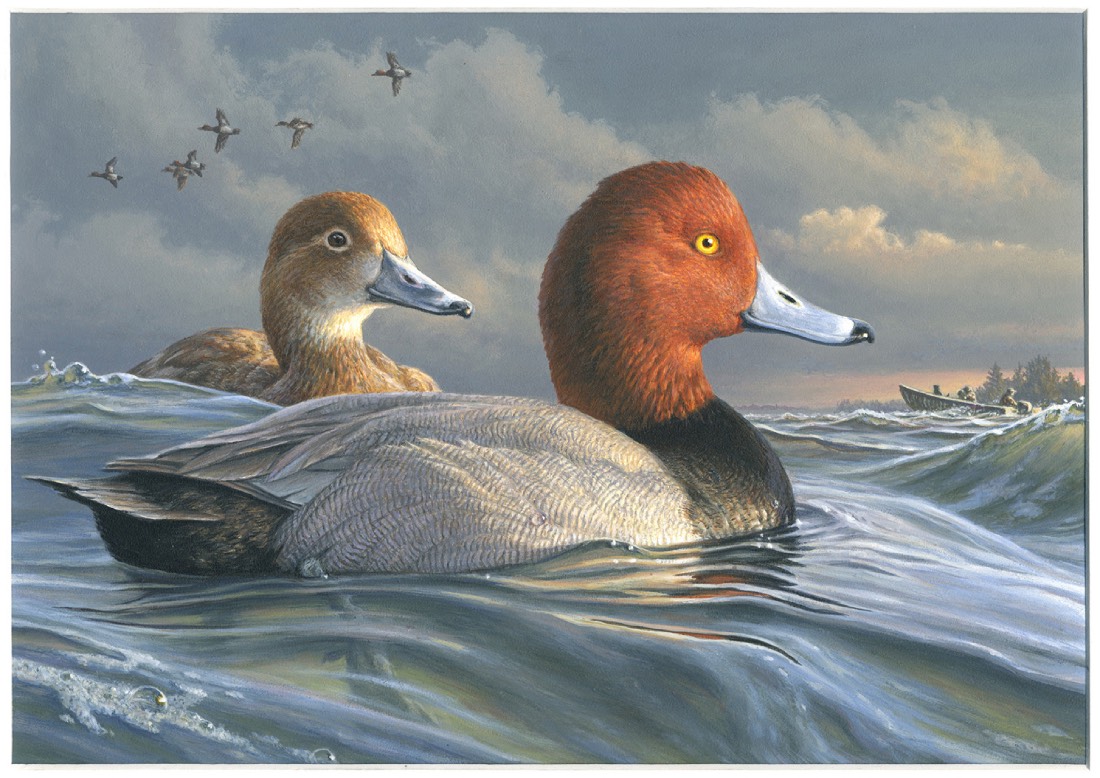 Jim Hautman Wins Federal Duck Stamp Competition a Record 6th Time